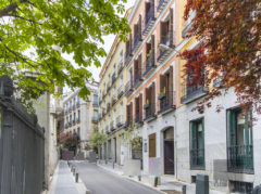 ZORRILLA